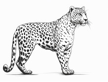 A Simple Line Drawing Of A Leopard | Generative AI