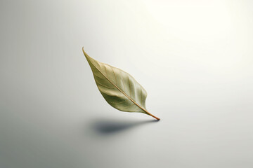 Poster -  A minimalist digital illustration of a single leaf floating against a plain background, highlighting its simplicity and the concept of letting go.  Generative AI technology.