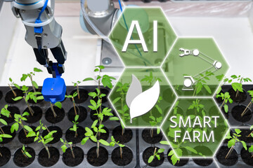 Aufkleber - A robot in a greenhouse evaluates the quality of tomato seedlings using a sensor. Smart farming concept