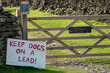 Keep Dogs on a Lead sign on public right of way in the Yorkshire Dales, UK, in order to protect ground nesting birds and lambs in Springtime.  Horizontal.  Copy space.