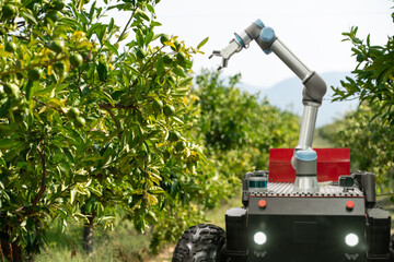 Sticker - Autonomous robot harvester with robotic arm harvesting fruits on a smart farm. Concept