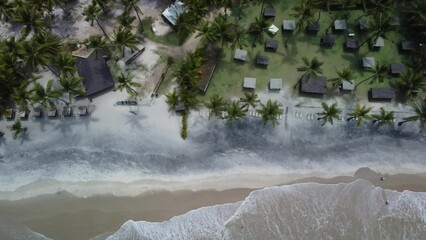 Wall Mural - Drone over Sea waves splashing on sandy Beach with palm trees and rural houses in Bahia, Brazil