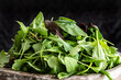 Leaves mix of spinach greens, arugula and basil. Ingredients for healthy eating.