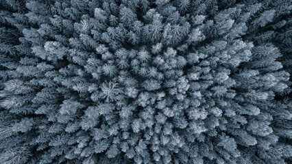 Aufkleber - Aerial view of a winter snow-covered pine forest. Winter forest texture. Aerial view. Aerial drone view of a winter landscape. Snow covered forest. Aerial photography winter texture background