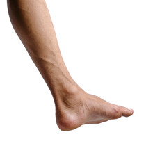 Male Feet In Various Poses Against A White Or Transparent Background