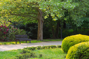 Wall Mural - beautiful urban summer park in sunlight