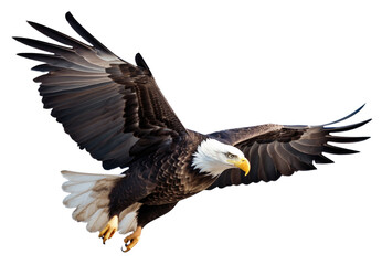 Wall Mural - bald eagle flying isolated on transparent background - generative ai
