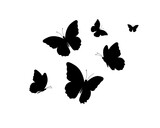 Fototapeta Motyle - drawing butterfly handdrawn