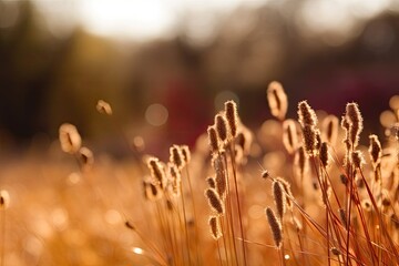 Canvas Print - lush green field of blooming plants up close Generative AI