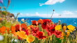 beach  sand wild flowers poppy flowers,blue sky on horizon sea water ,nature landscape,generated ai