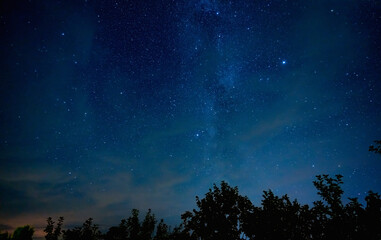Wall Mural - night starry sky and milky way