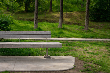 Wall Mural - Bench in the summer park.