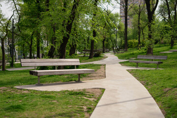 Wall Mural - Bench in the summer park.