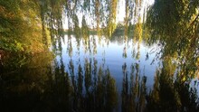 Reflection Of The Long Descending Branches Of A Willow Tree On The Smooth Calm Surface Of The Water Of A River On A Sunny Summer Day. Quiet Calm Relaxing Evening. Natural Background, Nature Backdrop.
