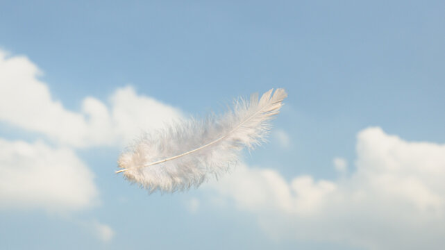 Wall Mural - Beautiful Soft and Light White Fluffy Feathers Floating inThe Sky with Clouds