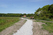 © Thijs de Graaf - Hikers and cyclists on the shell walking path and cycle path (called Paddenpad) in the Dutch village of Bergen. Meadows, forest. Spring. Netherlands.