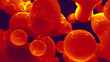 © Dancing Man - lava lamp glossy red fantastic tender meta objects float - abstract 3D rendering