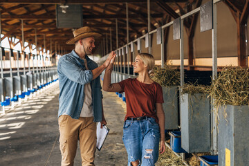 Man and woman work together in the animal farm.