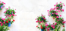 Horizontal Banner With Flowerpots With Blossom Geranium On Stucco Wall. Pot Of Pink And Red Geranium In Blossom On White Concrete Wall. Traditional Mediterranean Wall Decoration Of A Village House
