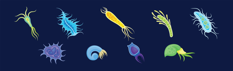 Wall Mural - Plankton Water Organism with Tentacles Free Floating on Dark Background Vector Set