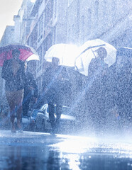 Wall Mural - Business people with umbrellas in rain