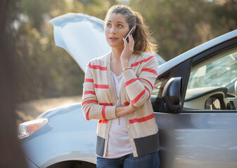 Wall Mural - Woman talking on cell phone with automobile hood raised at roadside