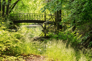 Wall Mural - beautiful iron bridge in summer green park