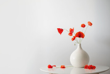 Wall Mural - red poppies in vase on white background