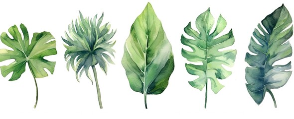set of tropical leaves and flowers isolated on white background. highly detailed plant collection. g