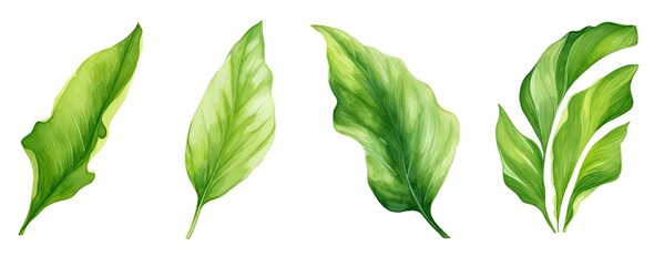 Set of tropical leaves and flowers isolated on white background. Highly detailed plant collection. Generative AI