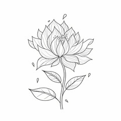 Wall Mural - Beautiful Flower Minimal Line Art Illustration