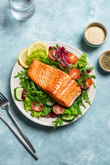 Sticker - Grilled salmon fish fillet and green salad