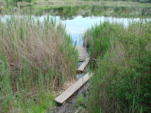 A View Of An Artificially Created Path Between Sedge Bushes For Those Who Want To Fish Or Swim In The Pond In Hot Weather.