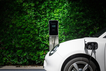 Wall Mural - Side view of progressive electric vehicle parking next to public charging station with greenery, natural foliage background as concept for renewable and clean energy for eco-friendly car.