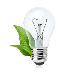 incandescent light bulb with two leaves on a white isolated background, ecological concept and saving electricity