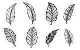 Fototapeta Koty - Set of banana leaves vector silhouettes. Black tattoo illustration. Suitable for logo art or textile