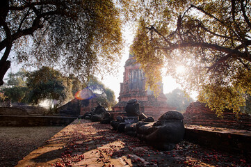 Wall Mural - Buddhist Temple in Ayutthaya historical park, Thailand.