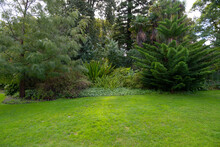 View Of Green Grass Lawn In A Formal Garden With Various Trees And Flower Beds. Background Texture Of A Grass And Plants In A Park Or A Campground. Copy Space For Text.