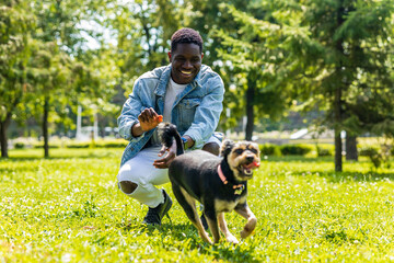 latin american man walking with his cute dog at sunny day in city park lawn on the grass