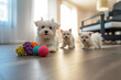A litter of Maltese puppies playing with toys and balls in a bright living room.