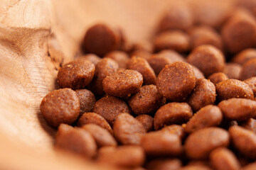 Cat dry food in wooden ecological bowl. Nutritious crunchy brown feed