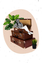 Collage Illustration Of Head Tiger Animal Mask Surreal Tourist Sitting Inside Retro Luggage Suitcase Isolated Over Beige Drawn Background
