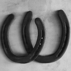 Poster - Lucky concept with old horseshoes from equine industry for western background in black and white.