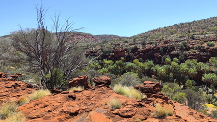 Wall Mural - Absolute outback of the Northern Territory, Australia