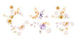 © Karma - Set of floral frames with wildflowers on a white background