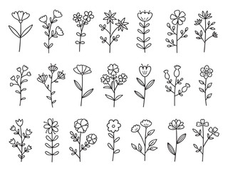 Wall Mural - flowers and leaves doodle set. floral elements for wedding invitation design in sketch style. hand d