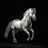 Fototapeta Konie - Silver White Horse Dramatically Rearing in Studio with Copy Space, generative AI