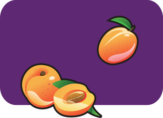 Wall Mural - Vector color illustration of a apricot.