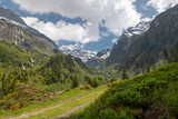 Fototapeta Kuchnia - Sommer in den Alpen mit Wiesen, Wasserfällen und Gletschern