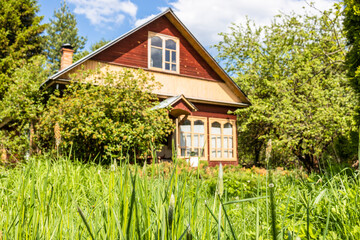 Wall Mural - high green grass and wooden cottage on backyard in village on sunny May day